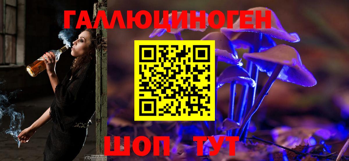Михайловск  Псилоцибиновые грибы Psilocybine cubensis  Вход с VPN 